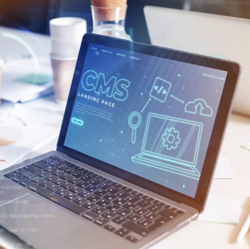 web-designing-services web design and development